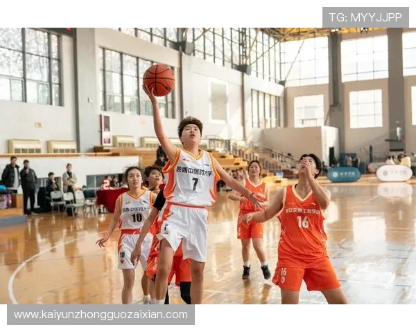 开云体育入口最新登录方式全面解析，助你轻松畅享体育盛宴