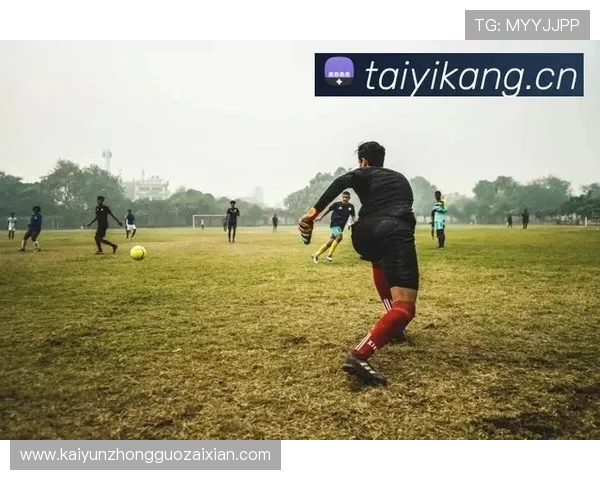 全面解析kaiyun体育官方入口的安全性与稳定性保障，确保用户畅享无忧体育娱乐体验